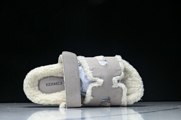 H*RMES  SLIDS   HM-55