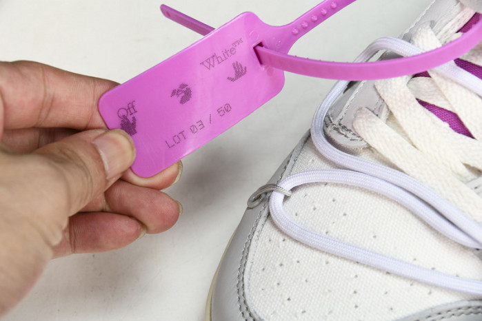 Nike Dunk Low OF Lot 03 DM1602-118