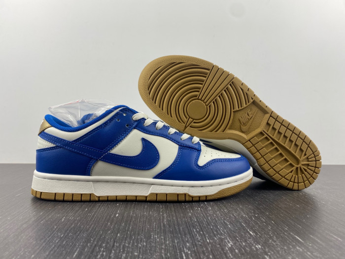 Nike Dunk Low  FB7173-141