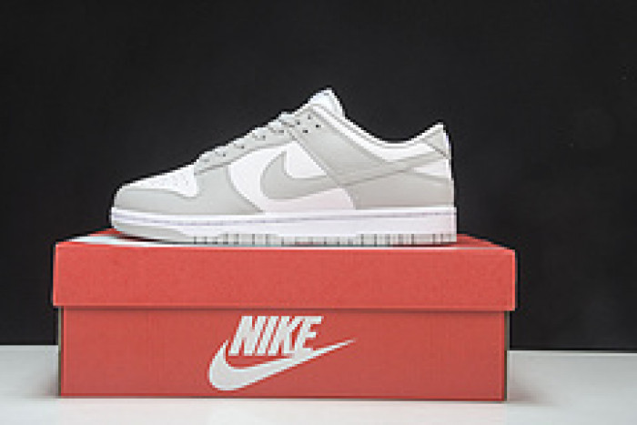 Nike Dunk Low Grey Fog DD1391-103