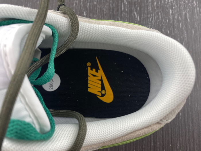 Nike Dunk Low SE 85 DO9457 100