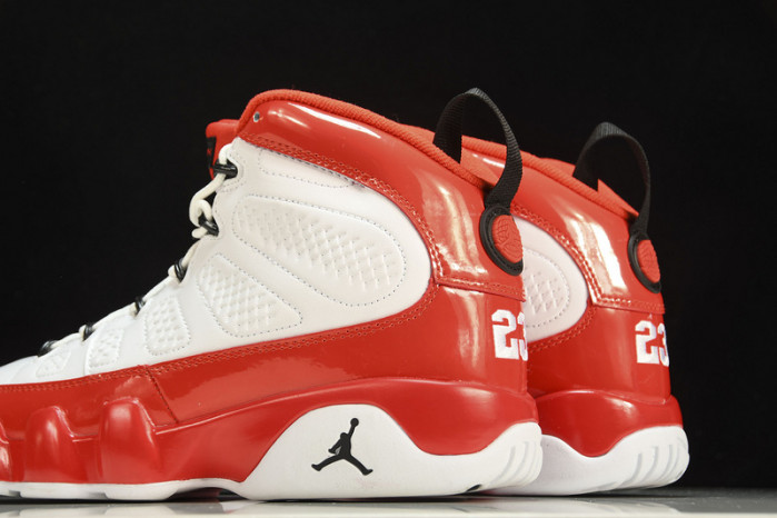Air Jordan 9 302370-160
