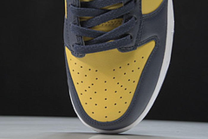 Nike Dunk Low Michigan DD1391-700
