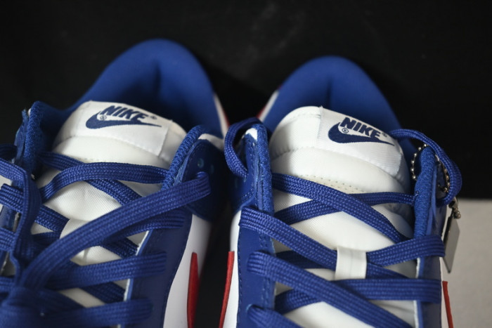 NIKE DUNK LOW DD1503-119