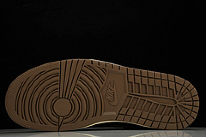 Air Jordan 1 High OG“Palomino  DZ5485-020